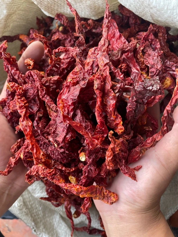 农家----皱皮辣椒
