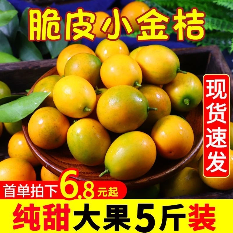 【糖心金桔】纯甜不酸广西脆皮滑皮小金桔新鲜橘子整箱包邮1-5斤