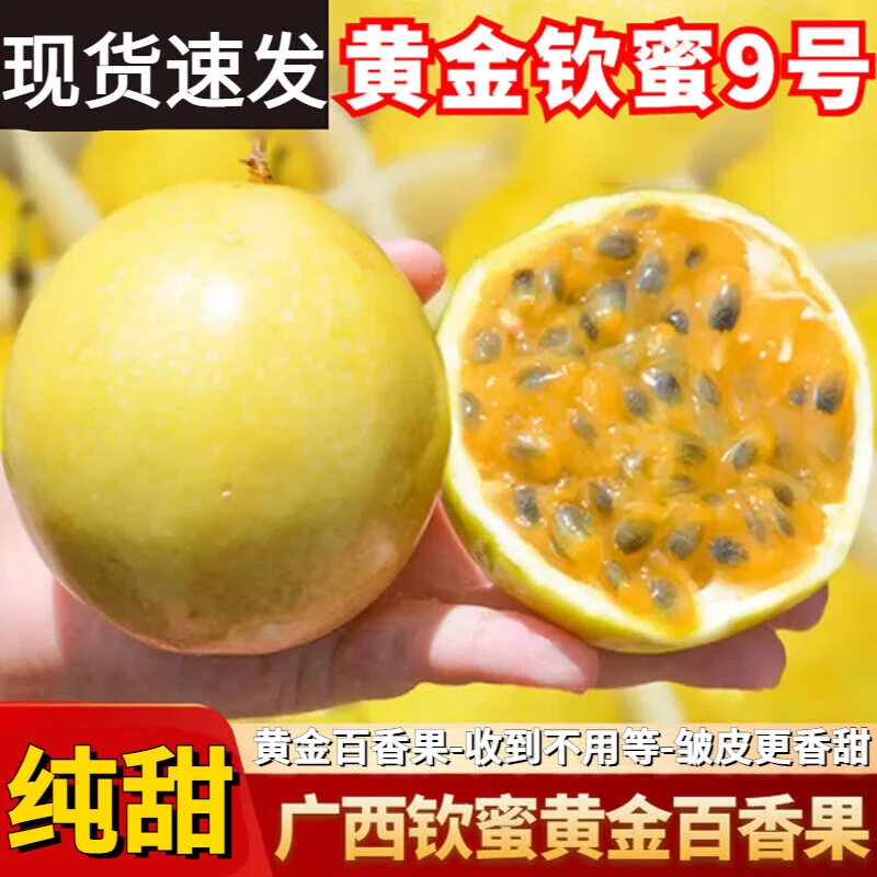 广西钦蜜9号黄金百香果