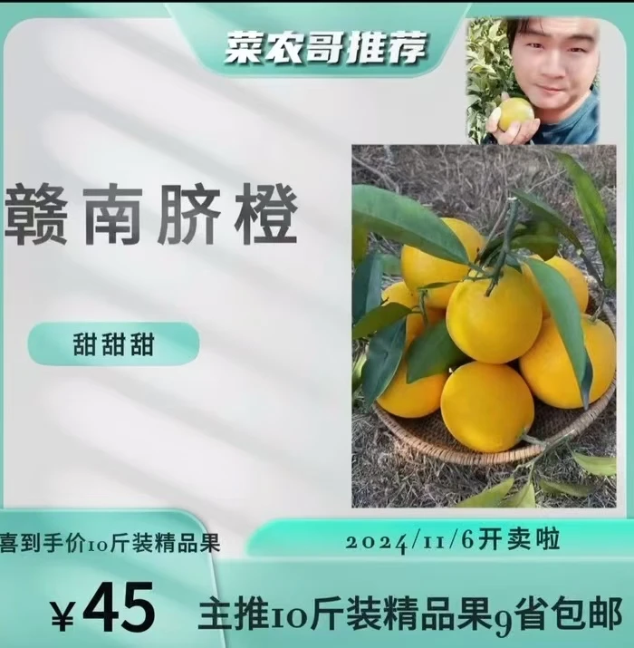 正宗赣南爆甜脐橙新鲜应季水果香甜橙子多汁江西脐橙产地直发包邮