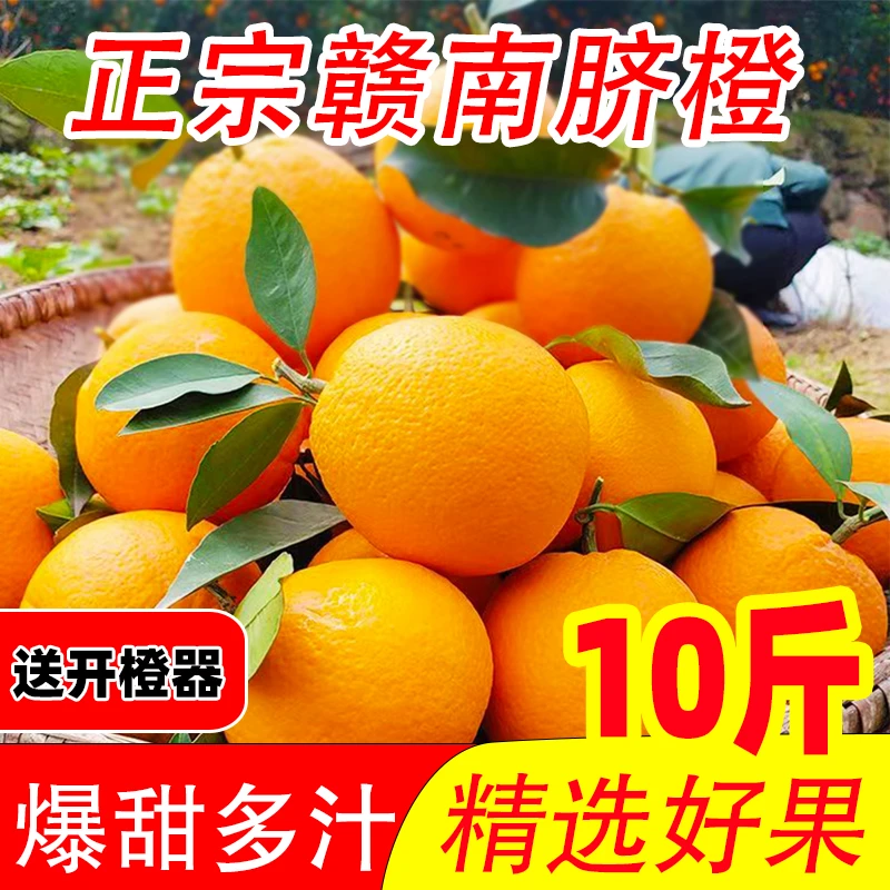 正宗江西赣州赣南脐橙新鲜应季水果香甜橙子产地直发现摘现发赣州
