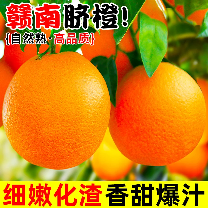 正宗赣南脐橙大果香甜橙子新鲜应季水果赣州脐橙现摘现发产地直发