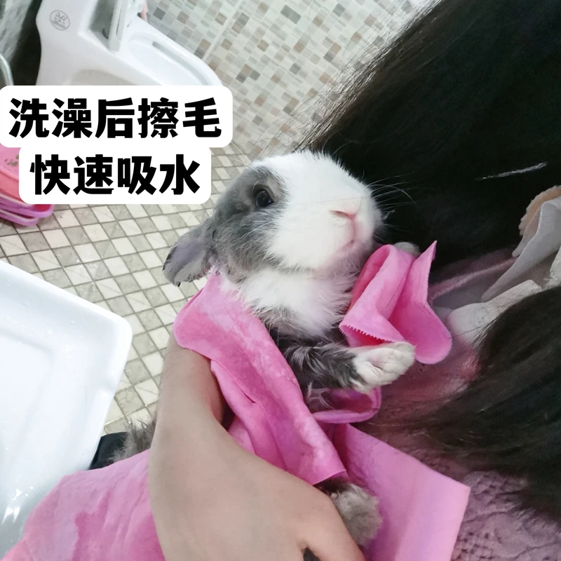 吸水毛巾兔子洗澡用品快速吸干毛发兔兔浴巾擦干宠物兔荷兰猪清洁