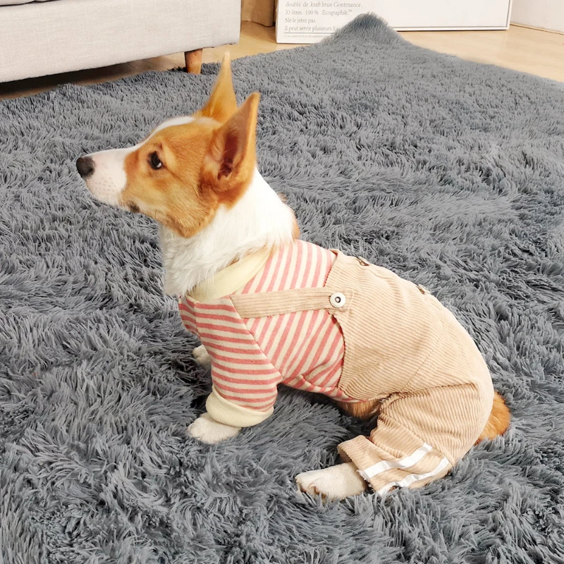 小体泰迪衣服秋冬加厚柯基狗狗防掉毛宠物幼犬保暖专用冬装四脚