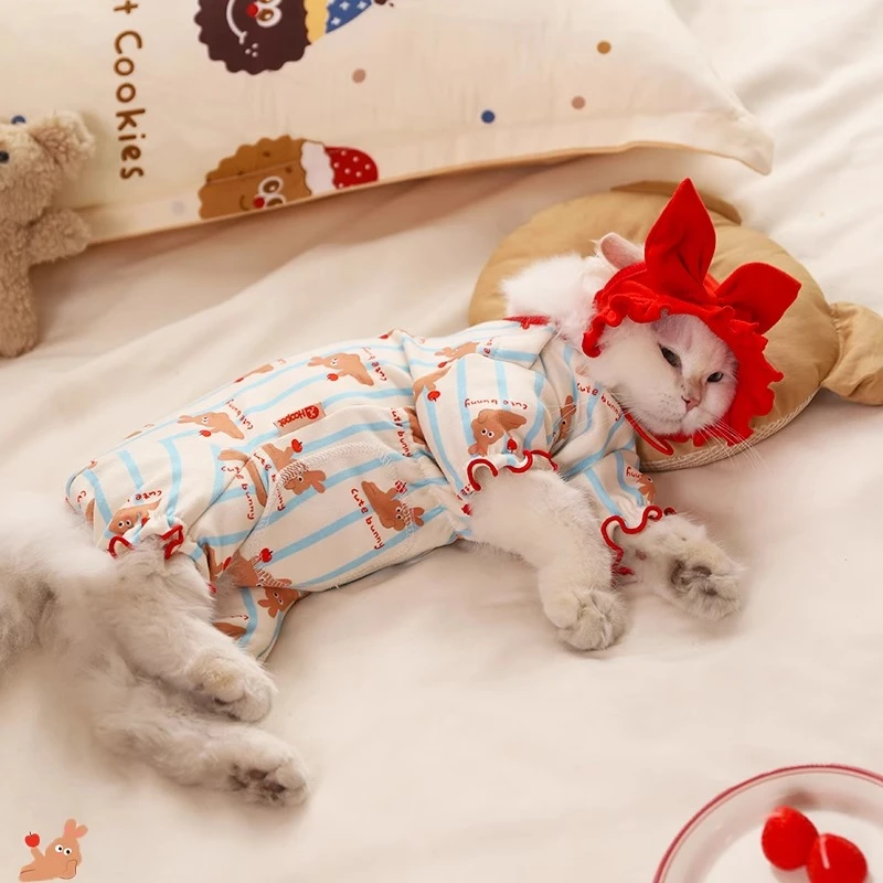 宠物衣服新年防掉毛秋装小猫幼猫断奶宠物猫猫四脚德绒护肚衣秋冬