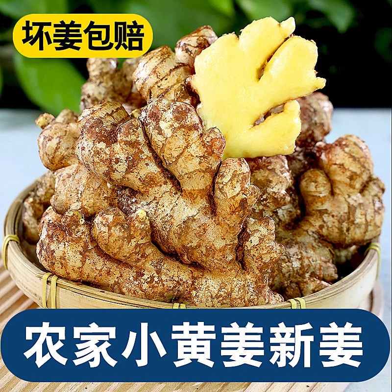 小黄姜农家自种新鲜现挖生姜月子姜土姜食用时蔬菜整箱