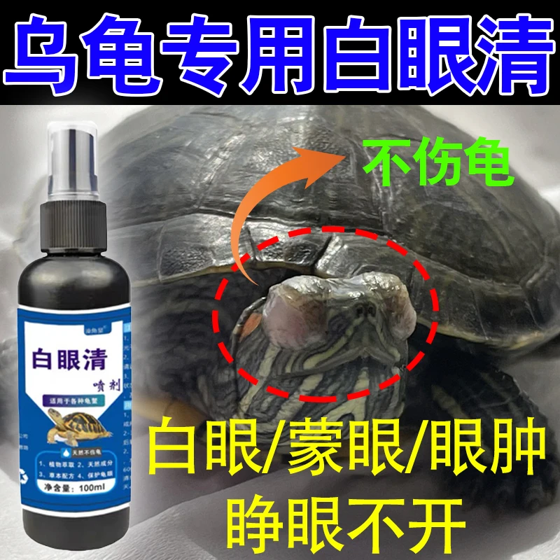 各种龟白眼蒙眼巴西草龟南石龟鼓包红肿小乌龟眼睛睁不开怎么办