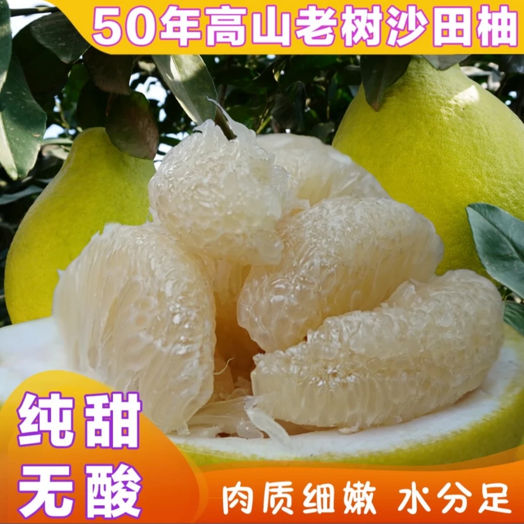 【粉丝专属】正宗湖南江永香柚高山50年老树沙田柚新鲜纯甜无酸