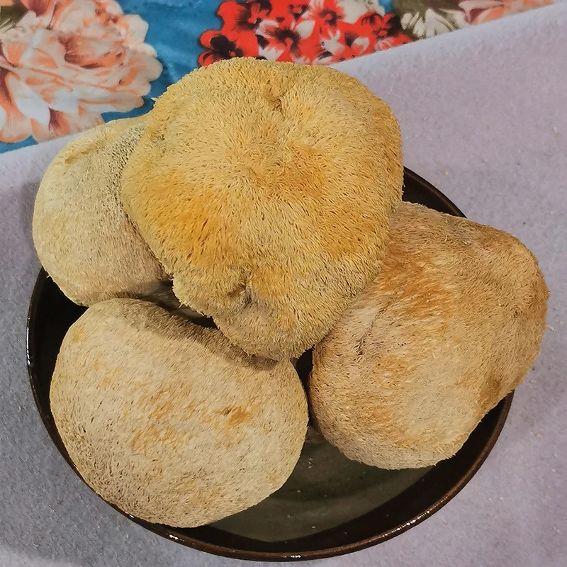 猴头菇干货500g/250g/100g东北长白山新货煲汤猴头菌菌菇