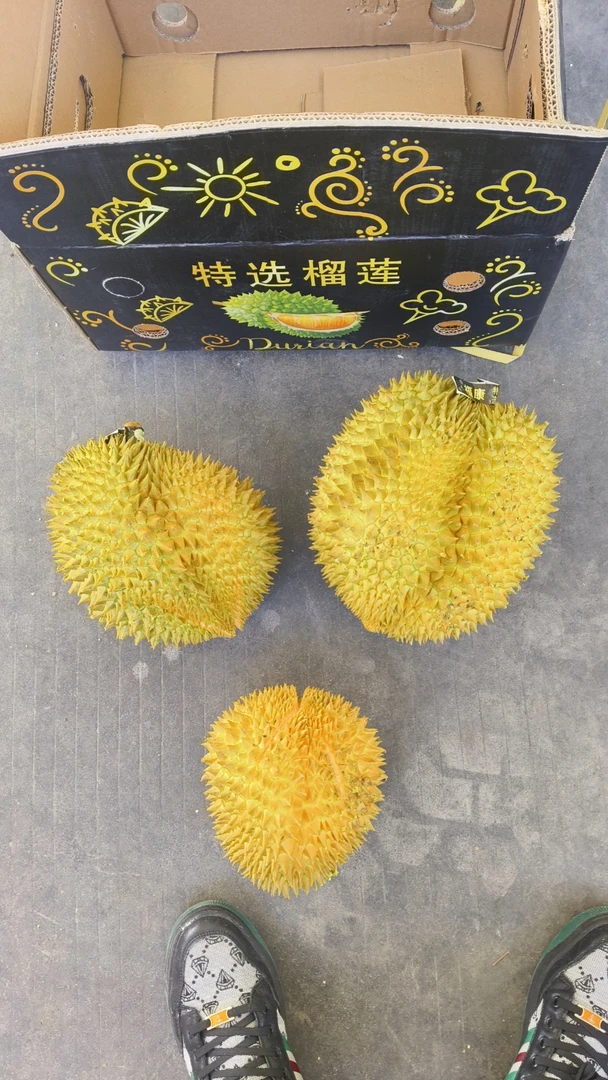 榴莲王子泰国金枕榴莲纯A果