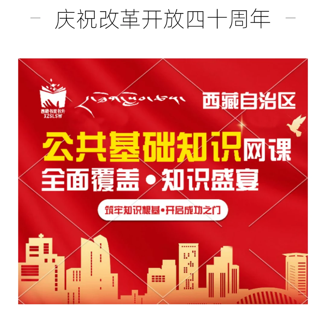 公共基础精炼网课