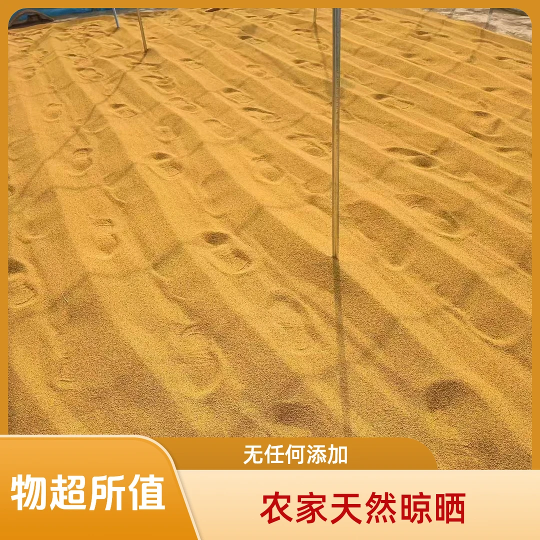 正宗今年新米山东山地种植小米黄米谷子无任何添加宝宝辅食营养粥