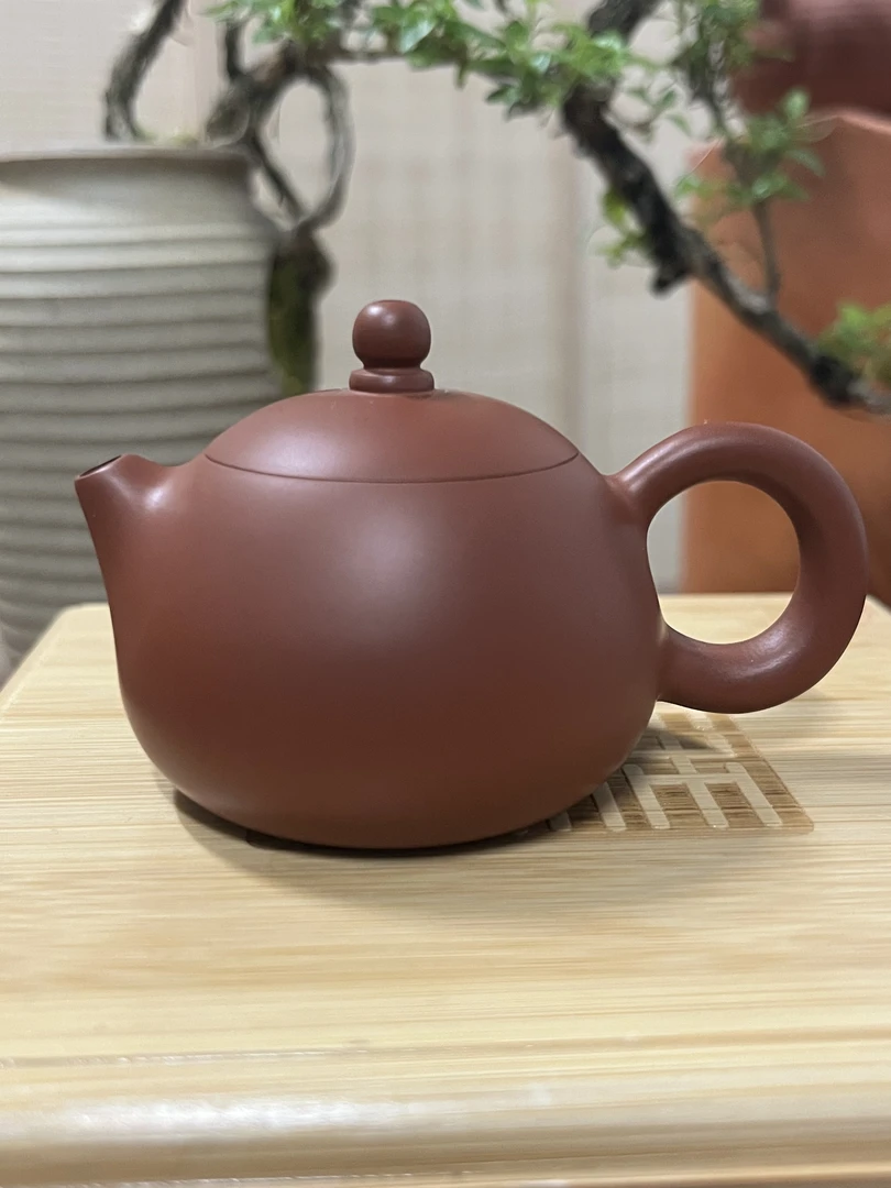 章耀河小西施60ml小品潮州全手工手拉壶潮汕功夫茶具泡茶壶