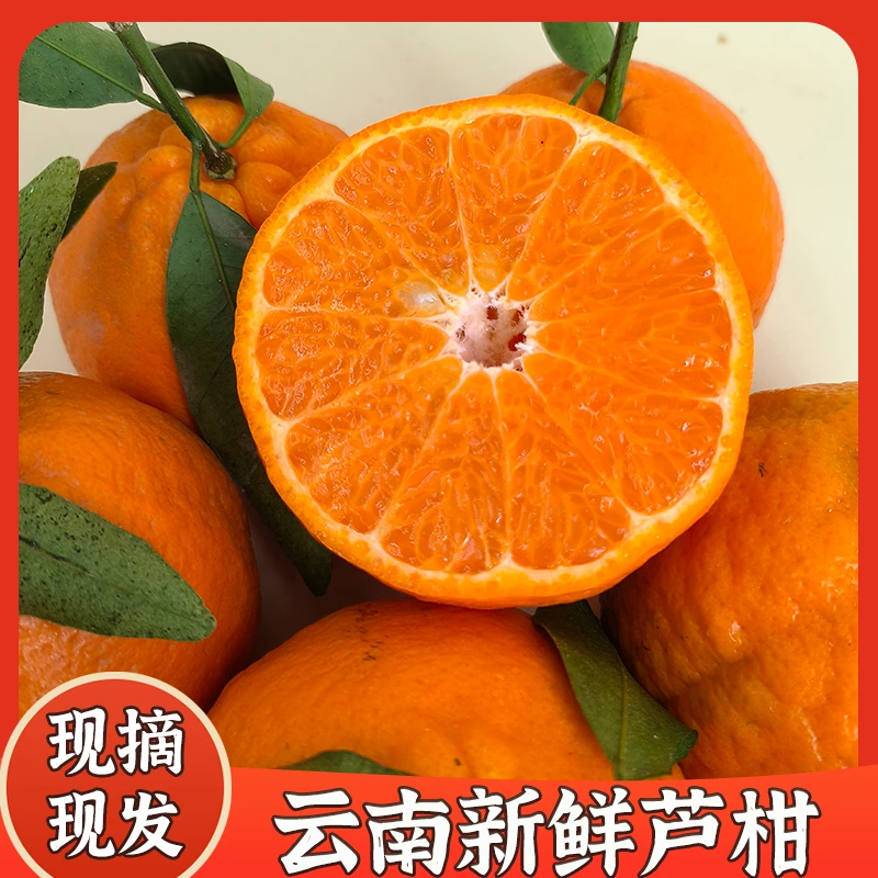 云南峨山鲜甜多汁新鲜现摘现发农家自种芦柑5斤装包邮