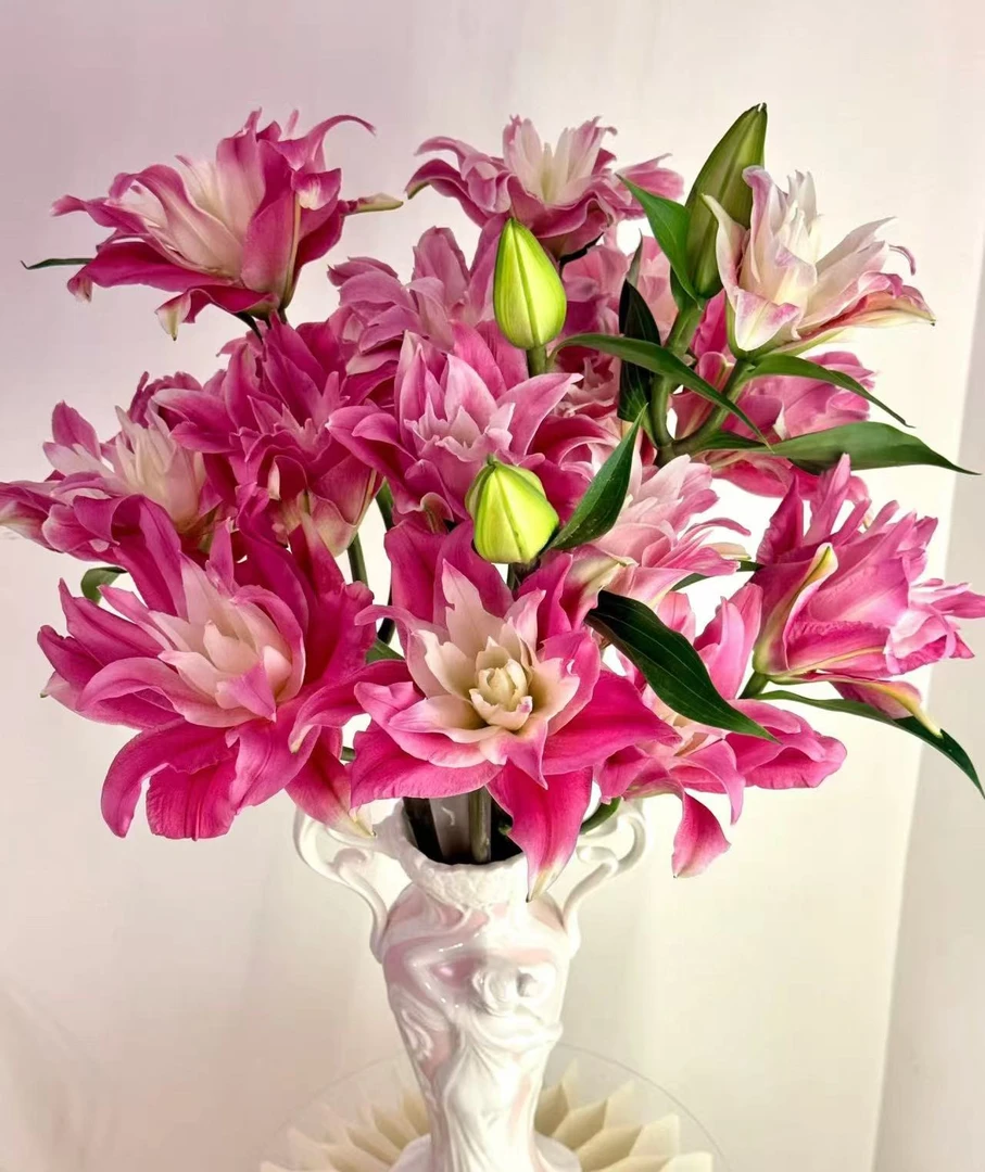 【红丝带重瓣百合】 任意2单鲜花包邮 发货后不支持退款