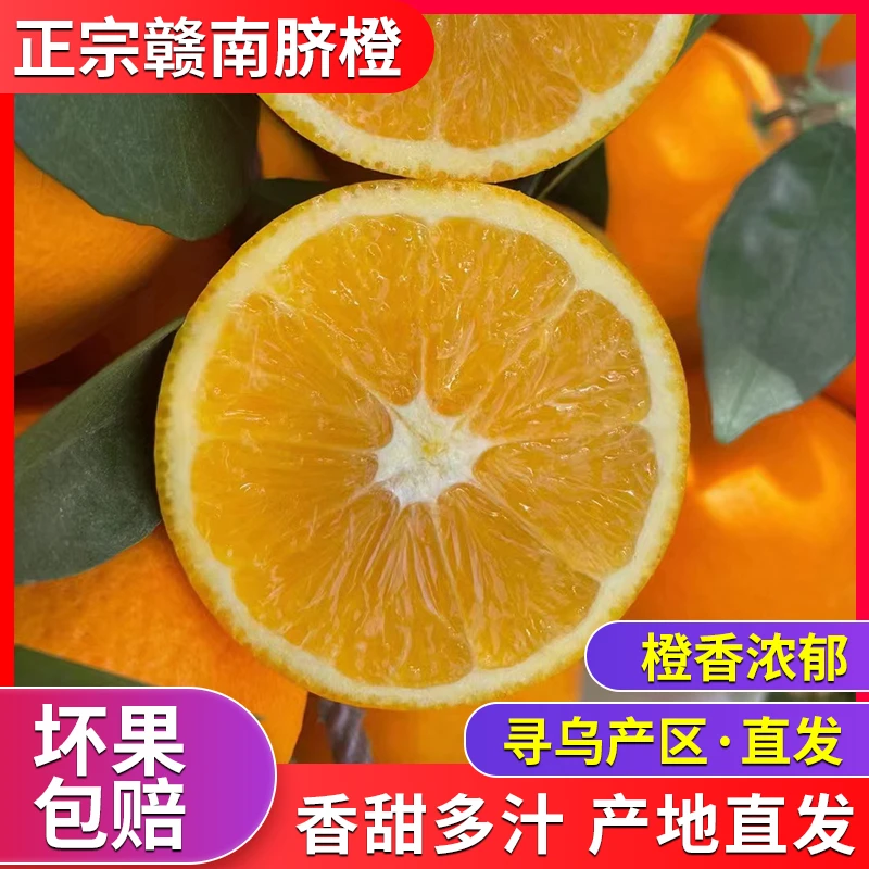 正宗赣南脐橙新鲜现摘应季水果产地直发精品果送礼橙子10斤装