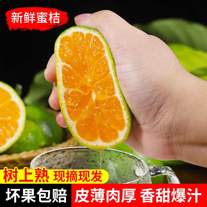 江西寻乌蜜橘果园直发应季孕妇水果高山青皮橘子酸甜多汁3/5斤装