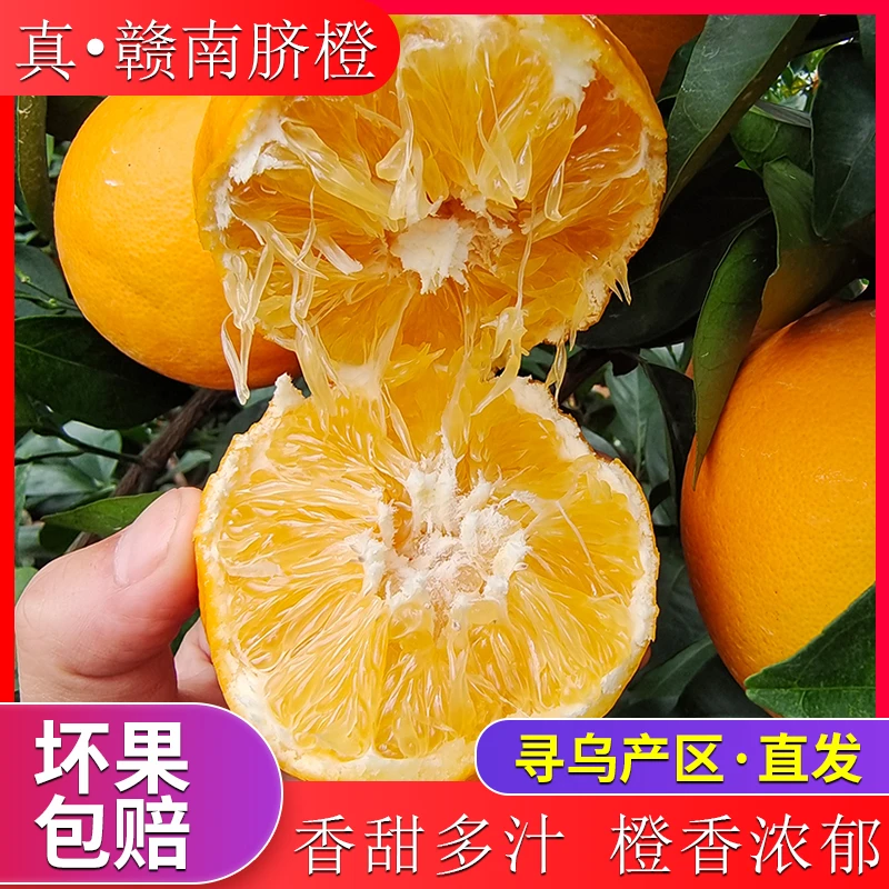 正宗赣南脐橙新鲜现摘手剥橙爆汁甜橙应季水果产地直发10斤橙子