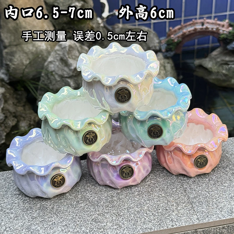 景德镇多肉花盆遇见花边炫彩高白泥吸水透气多种颜色可选