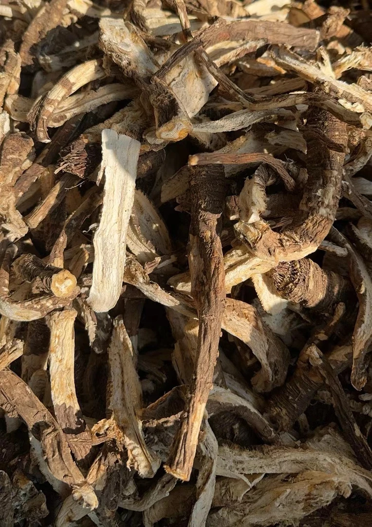 高原高海拔藏当归120g