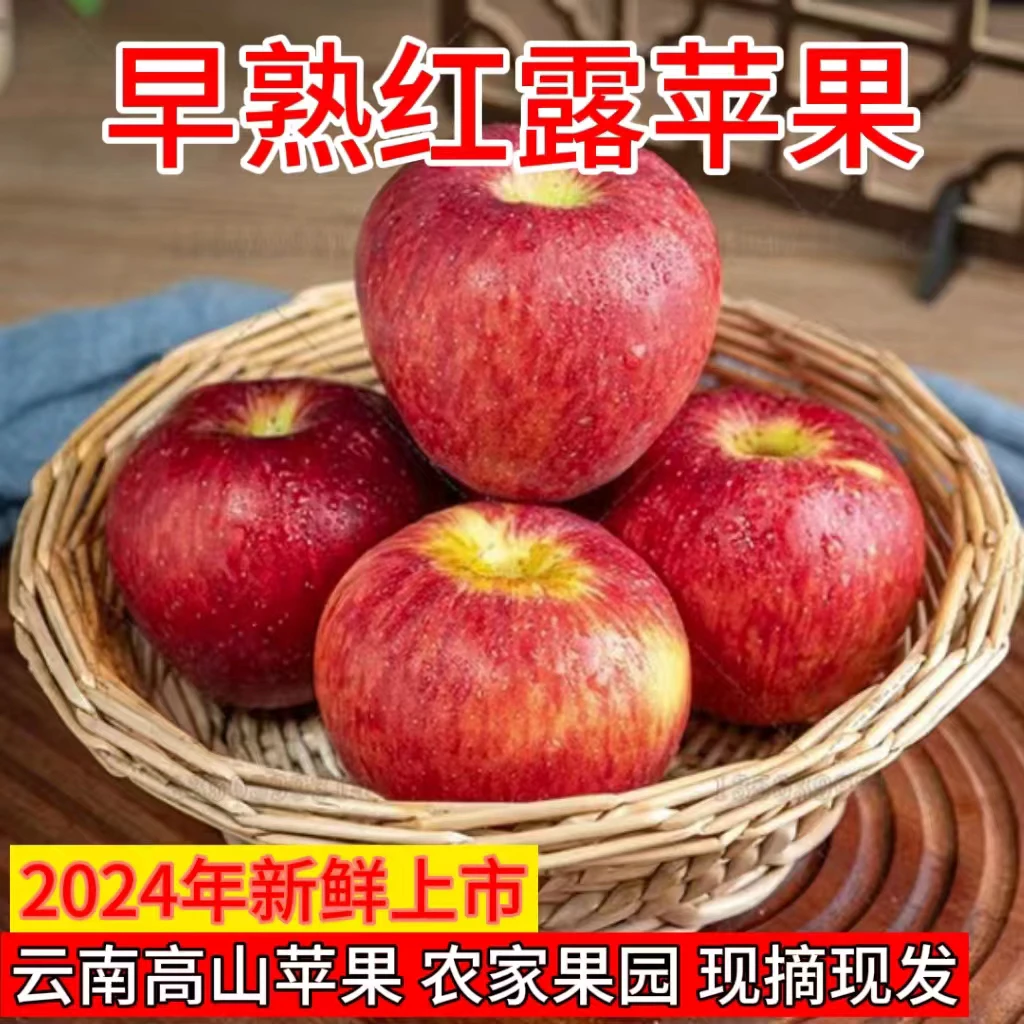 当季云南昭通高原红露丑苹果现摘现发果园直发纯甜无酸坏果包赔