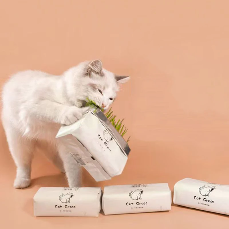 「超萌好物」懒人泡面猫草猫咪零食化毛球排毛球