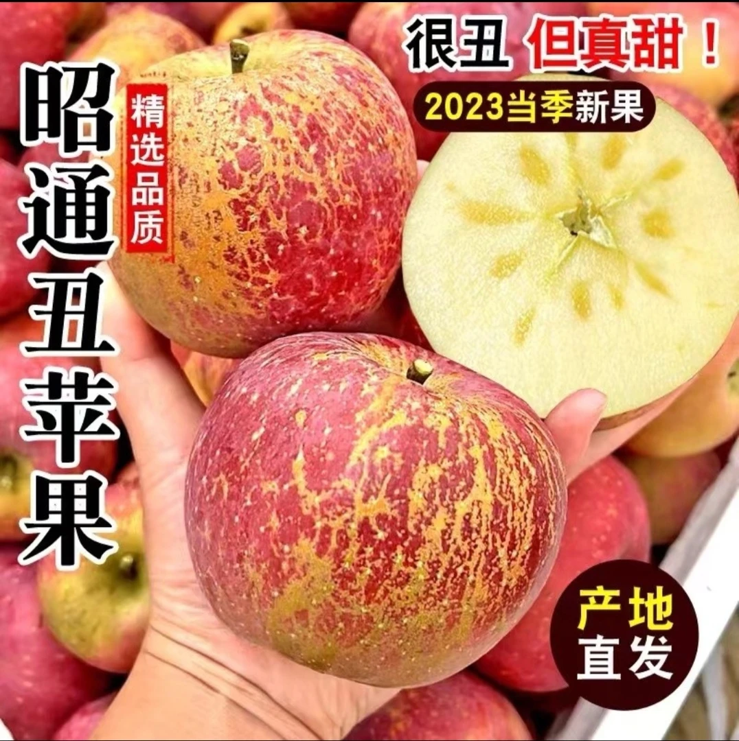 云南昭通现摘现发正宗冰糖心苹果大凉山丑苹果重量5/10斤快递包
