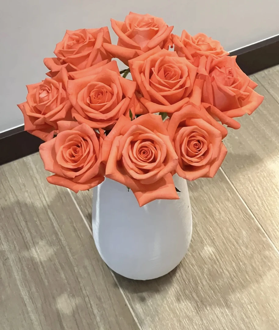 【影星】橙色果香切花玫瑰月季四季开花庭院阳台种植