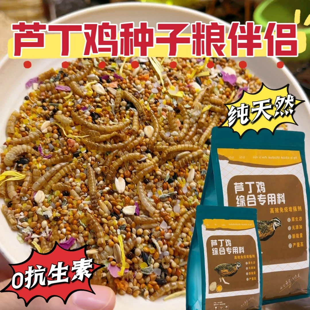 芦丁鸡种子粮天然谷物植物颗粒更容易吸收开口蔬菜干饲料