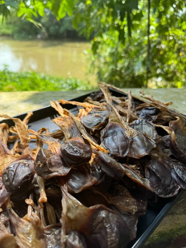 新鲜 陈肾 鸭肾  500g 蒜