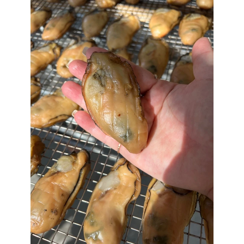 台山金蚝 18-20头 天然无抽油 生晒金蚝 500克 六成干##