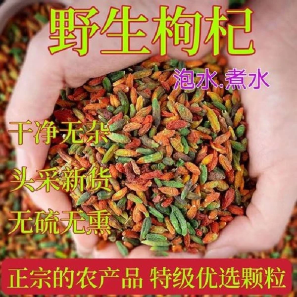 【之南】云南下山七彩枸杞