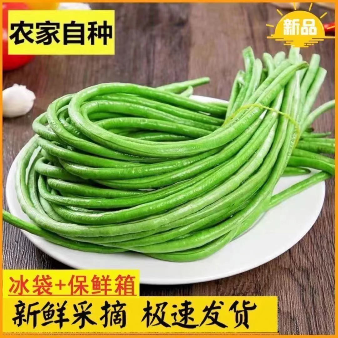 东北新鲜豇豆角2斤顺丰包邮