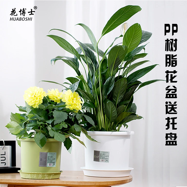 花博士8号素颜盆口径23.5cm高度19.5cm 无异味加厚升级室内高端
