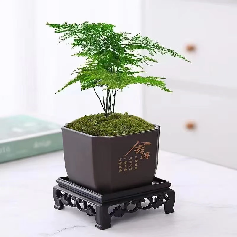 仿紫砂盆2个盆送底托 口径9.5左右高度6.7左右桌摆方盆透气简约