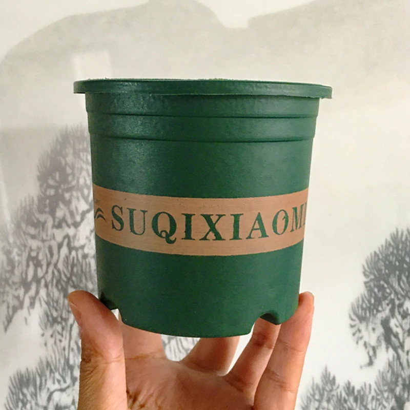 多肉加仑盆扦插育苗盆 口径10.4高度9cm