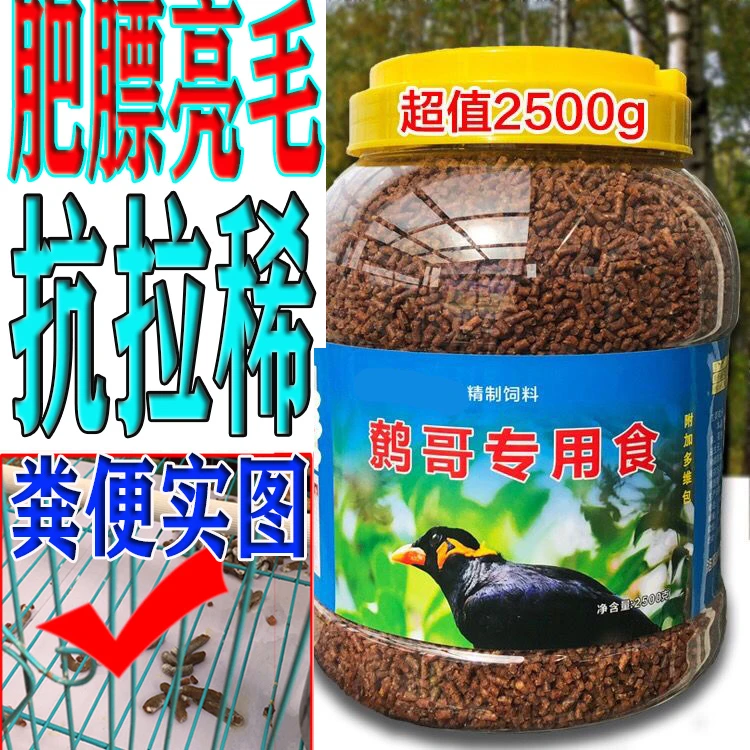 鸟食八哥鸟食鸟粮5斤装亮毛肥膘 抗拉稀乌鸫红嘴山鸦食通用玉米
