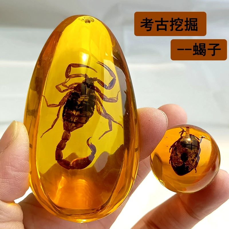 大号蝎子考古挖掘玩具儿童益智手工diy昆虫标本琥珀科教盲盒蝴蝶