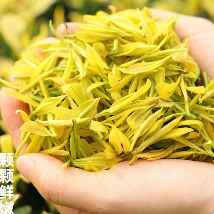 98爆款春季黄金芽直条福利款买一斤送半斤双十一活动