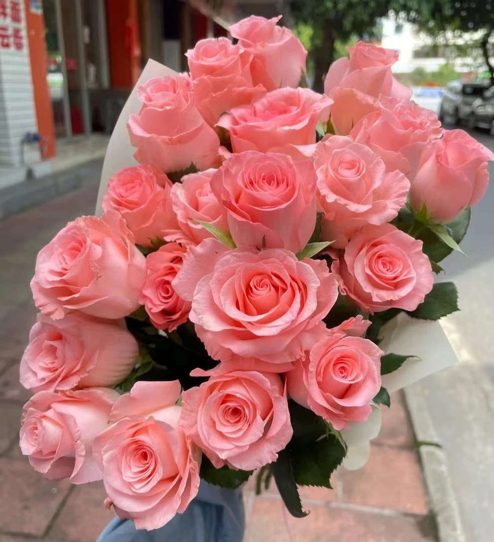 【戴安娜】云南鲜花基地直发艾莎香槟卡布奇诺高原红洋桔梗鲜花包邮