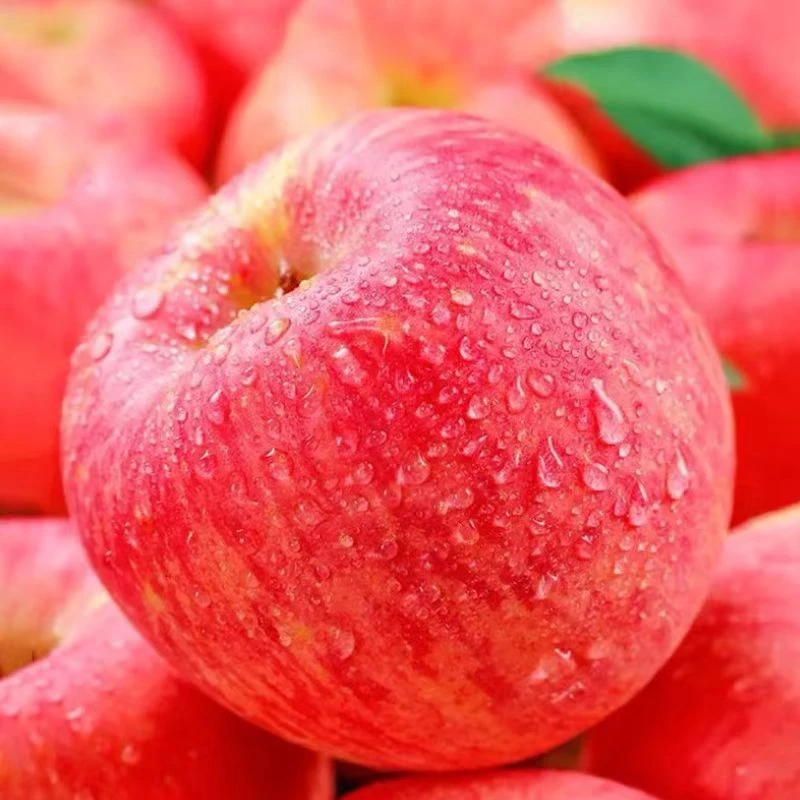 苹果新鲜水果当季水果整箱包邮70mm以上