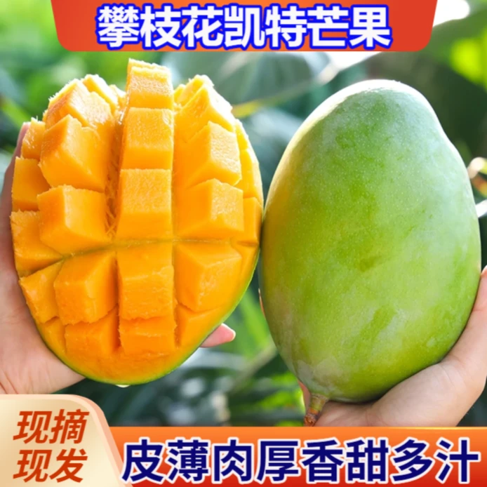 攀枝花凯特芒果大青芒皮薄肉厚黄皮芒营养单果400克起带箱9-10斤