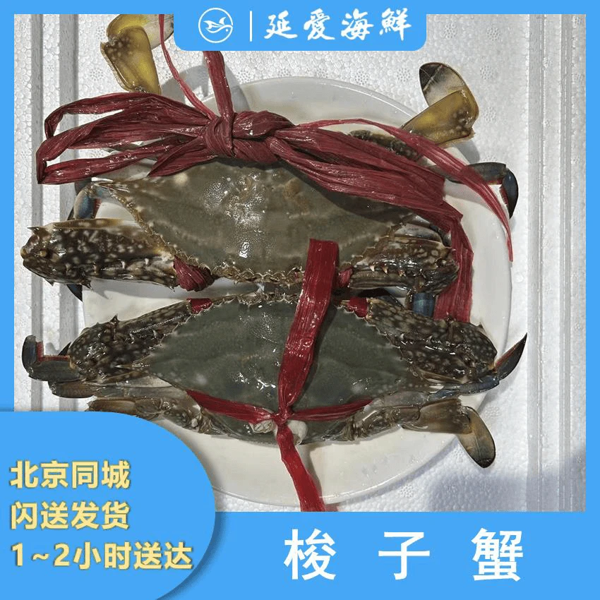 【开海季】鲜活 公梭子蟹3斤装