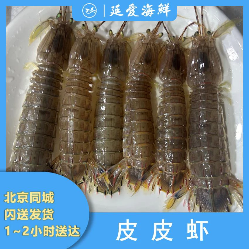 【鲜活】 3斤装  鲜活皮皮虾 3斤（保鲜不保活）