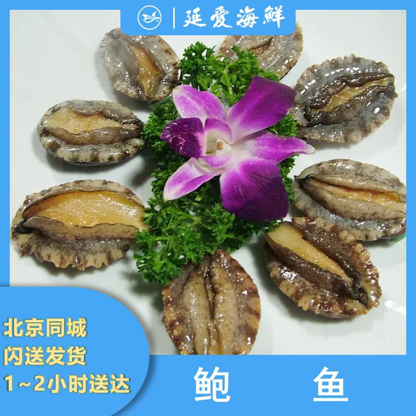 【推荐】鲜活大连鲍鱼