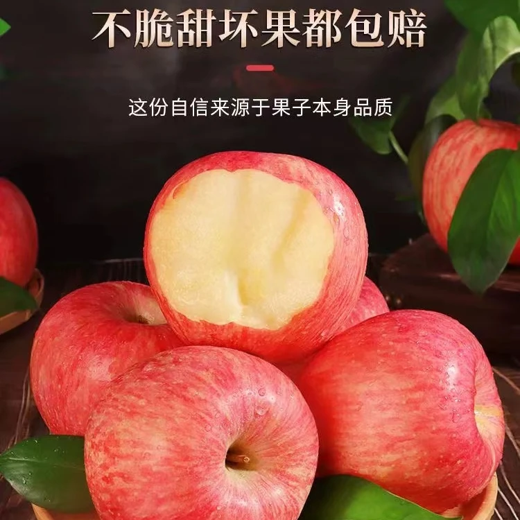 正宗山东烟栖霞台10斤冰糖心产地直发批发新鲜脆甜