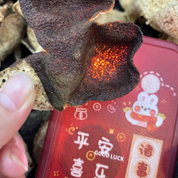 冬后皮新会陈皮老陈皮纯天然核心产区