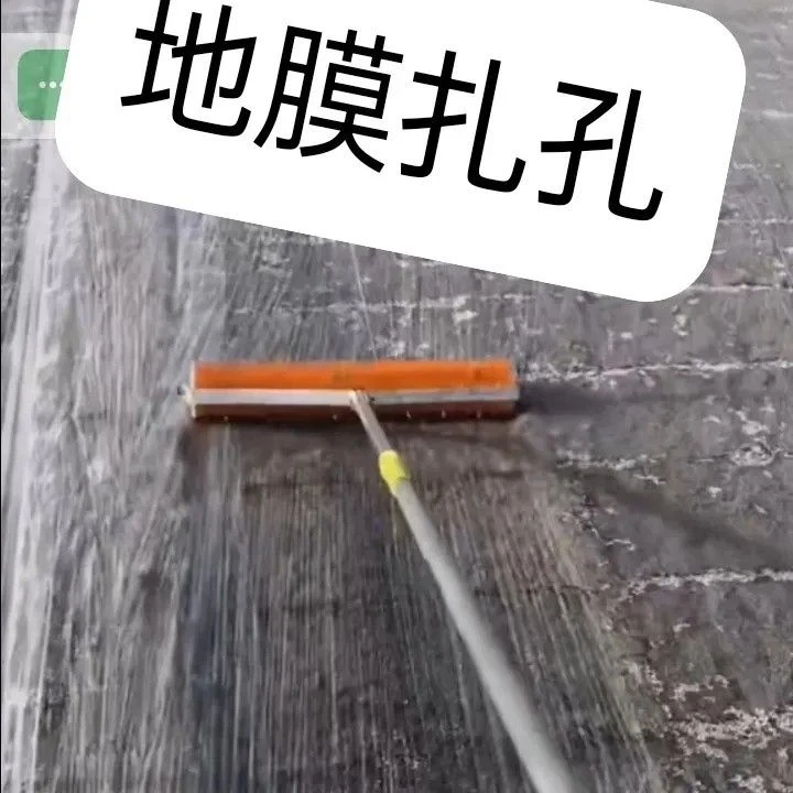 刺辊专门给地膜扎眼儿用的不带杆自己准备