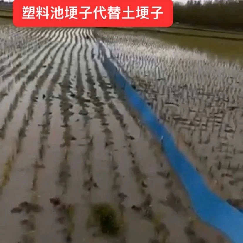 塑料池埂子代替土埂子池埂子PVC水稻水田地分水板挡水板