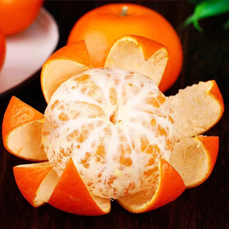 【新鲜采摘】3 5 9斤广西沃柑 当季新鲜水果香甜柑橘产地新鲜多汁皮